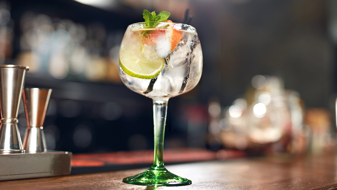 Gin Tasting Experience Resized