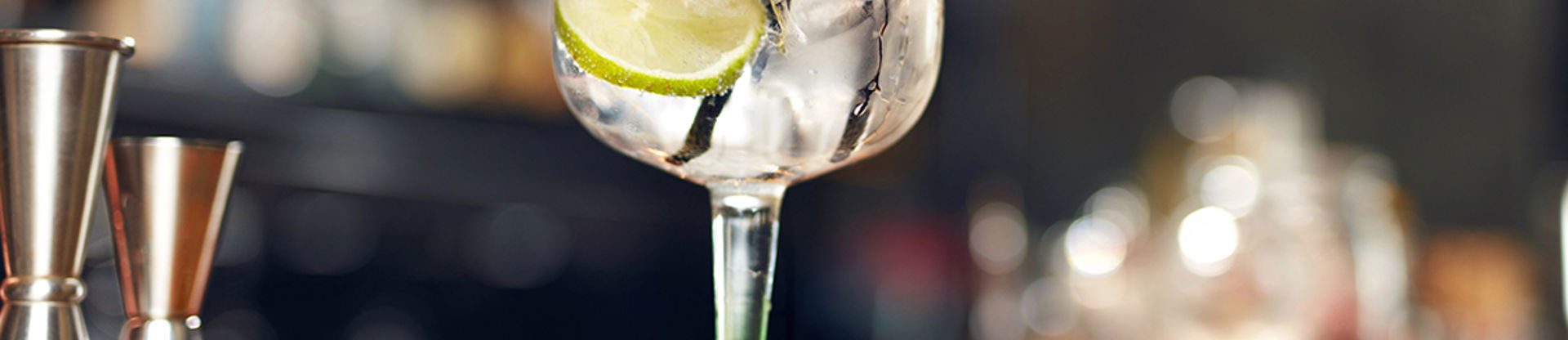 Gin Tasting Experience Resized