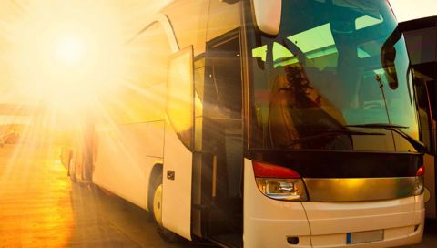 Coach Transfers